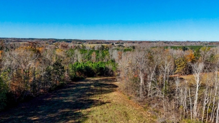 Uncover the Ultimate Retreat in South Hill, Virginia - image 11