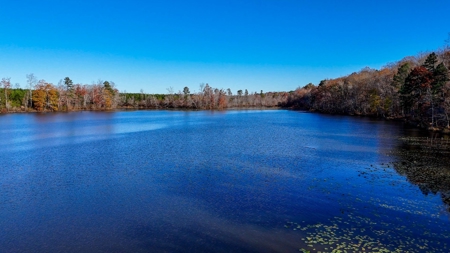 Uncover the Ultimate Retreat in South Hill, Virginia - image 4