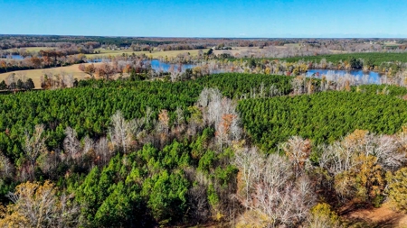 Uncover the Ultimate Retreat in South Hill, Virginia - image 13