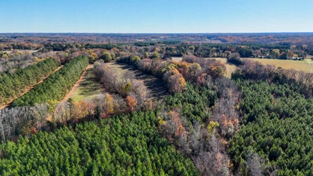 Uncover the Ultimate Retreat in South Hill, Virginia - image 9