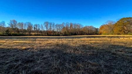 Uncover the Ultimate Retreat in South Hill, Virginia - image 24