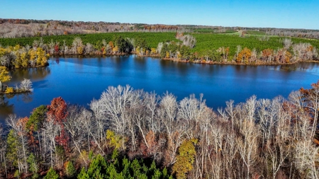 Uncover the Ultimate Retreat in South Hill, Virginia - image 15