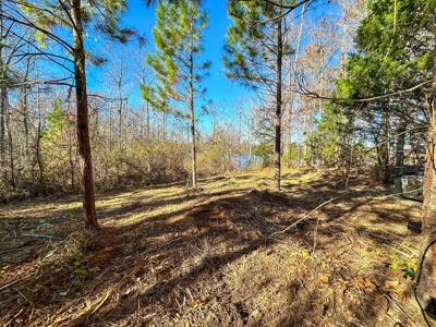 Uncover the Ultimate Retreat in South Hill, Virginia - image 18