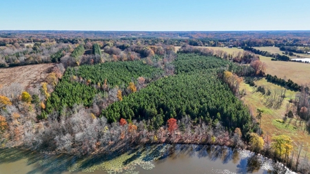 Uncover the Ultimate Retreat in South Hill, Virginia - image 21