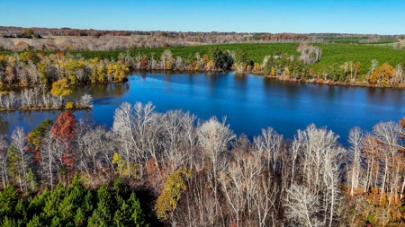 Uncover the Ultimate Retreat in South Hill, Virginia - image 5