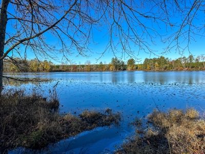 Uncover the Ultimate Retreat in South Hill, Virginia - image 16