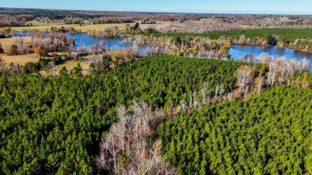Uncover the Ultimate Retreat in South Hill, Virginia - image 8