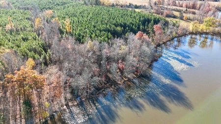 Uncover the Ultimate Retreat in South Hill, Virginia - image 25