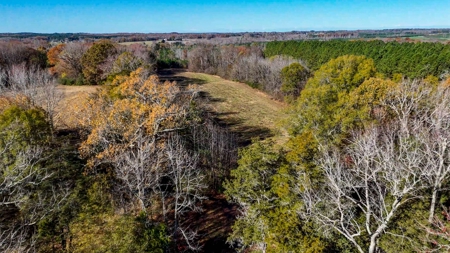 Uncover the Ultimate Retreat in South Hill, Virginia - image 22