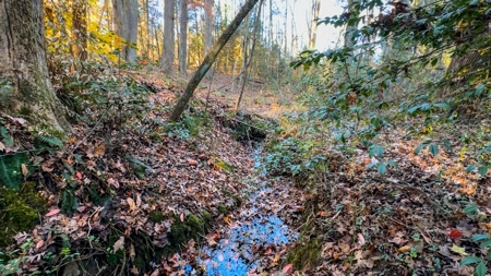 Uncover the Ultimate Retreat in South Hill, Virginia - image 20