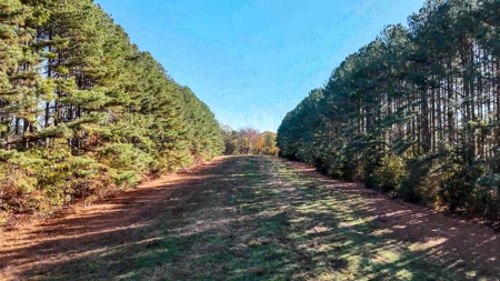 Uncover the Ultimate Retreat in South Hill, Virginia - image 27