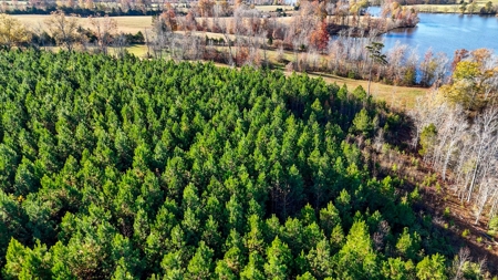 Uncover the Ultimate Retreat in South Hill, Virginia - image 19