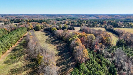 Uncover the Ultimate Retreat in South Hill, Virginia - image 14