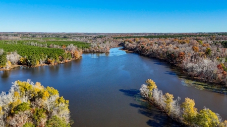 Uncover the Ultimate Retreat in South Hill, Virginia - image 6