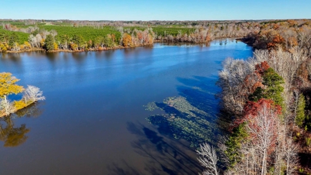 Uncover the Ultimate Retreat in South Hill, Virginia - image 23