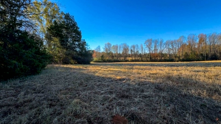 Uncover the Ultimate Retreat in South Hill, Virginia - image 12