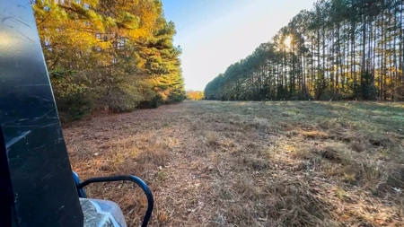 Uncover the Ultimate Retreat in South Hill, Virginia - image 10