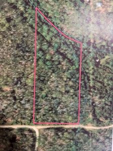 Land for Sale in Phelps County, MO - image 1