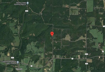 Land for Sale in Phelps County, MO - image 2