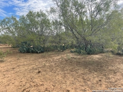 Land for Sale in Jourdanton, TX - image 3