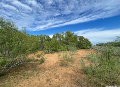 Land for Sale in Jourdanton, TX - image 4