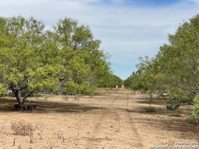 Land for Sale in Jourdanton, TX - image 5