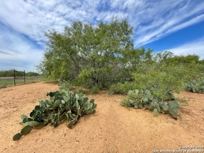 Land for Sale in Jourdanton, TX - image 1