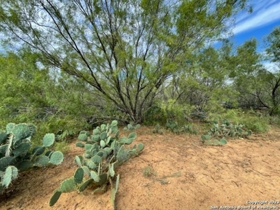 Land for Sale in Jourdanton, TX - image 8