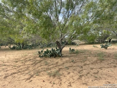 Land for Sale in Jourdanton, TX - image 6