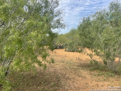 Land for Sale in Jourdanton, TX - image 7