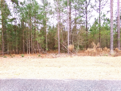 The Woodlands Subdivision Residential Lot - image 3