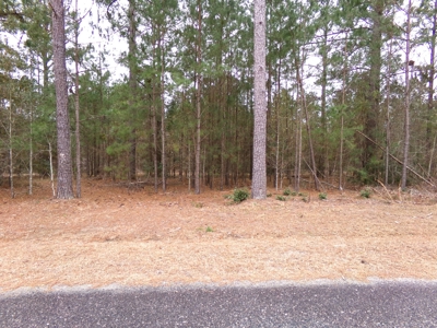 The Woodlands Subdivision Residential Lot - image 4