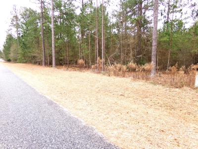 The Woodlands Subdivision Residential Lot - image 5