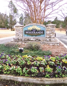 The Woodlands Subdivision Residential Lot - image 1