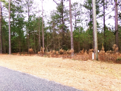 The Woodlands Subdivision Residential Lot - image 2
