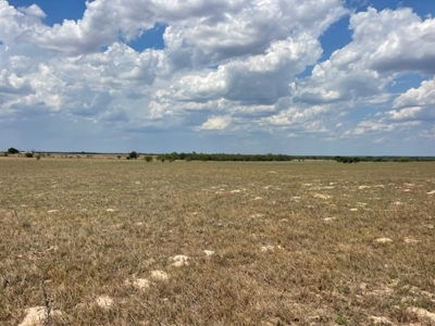 Land for Sale Floresville, TX, Floresville School District - image 3