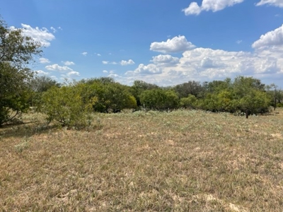 Land for Sale Floresville, TX, Floresville School District - image 2