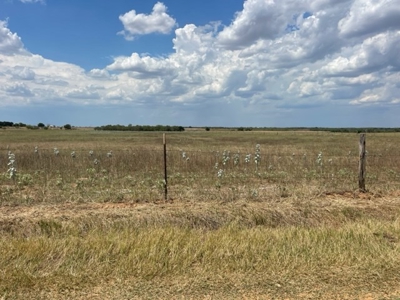 Development Land for Sale in Floresville, TX - image 3