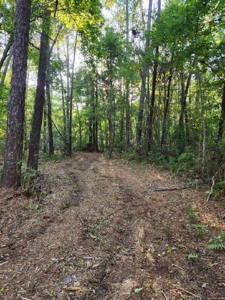 Land For Sale In Jefferson County Fl - image 4