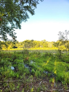 Land For Sale In Jefferson County Fl - image 6