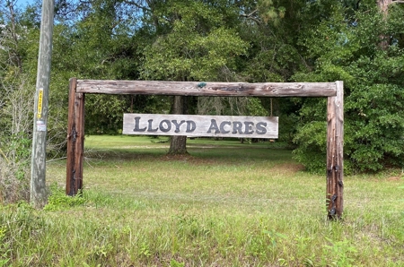 Land For Sale In Jefferson County Fl - image 9