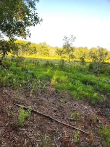 Land For Sale In Jefferson County Fl - image 3