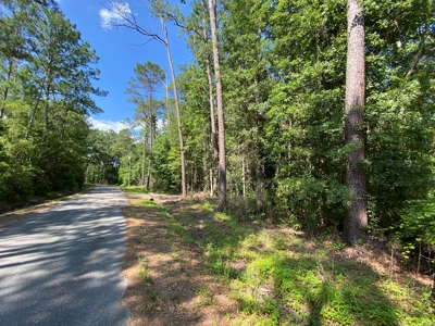 Land For Sale In Jefferson County Fl - image 8
