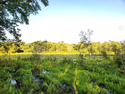 Land For Sale In Jefferson County Fl - image 7