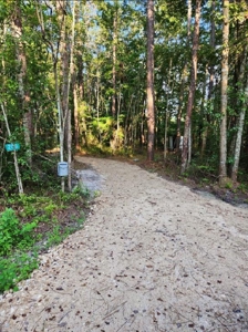 Land For Sale In Jefferson County Fl - image 2