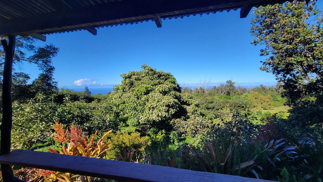 Ocean view from cottage