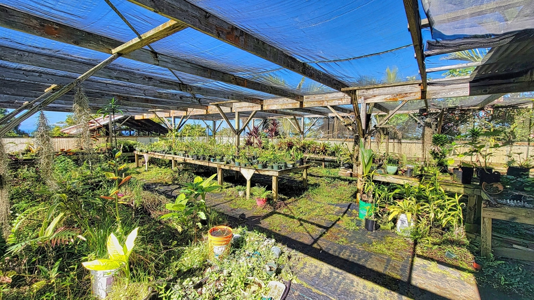 Shade house for growing your exotic plants