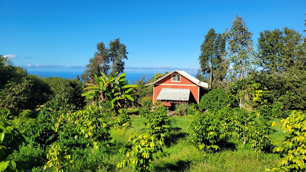 Cottage view showing the ocean