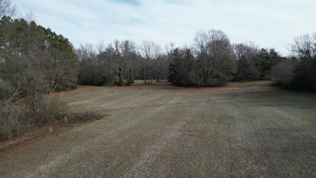 Serene Country Living Awaits on 2.7 Acres in South Hill, VA - image 4