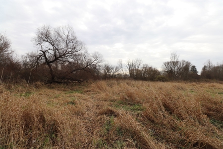 Farmstead with Serene River Views in Knox County, Oh 13.3 ac - image 12